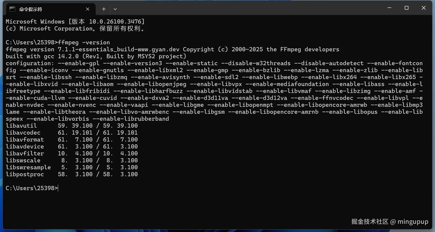 image-20250408091044952