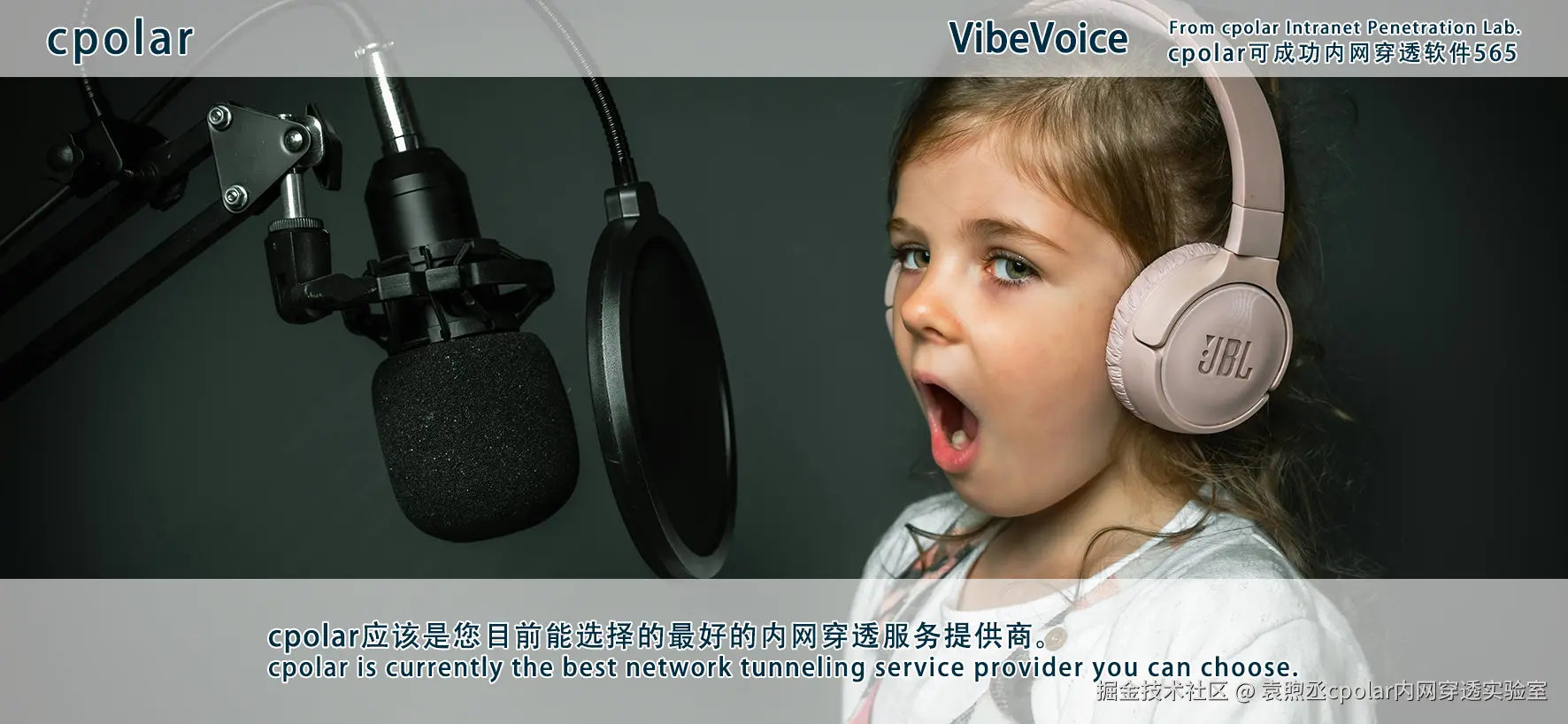 NO.565 VibeVoice-04.png