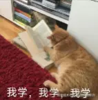 屏幕截图 2025-01-03 232328.png