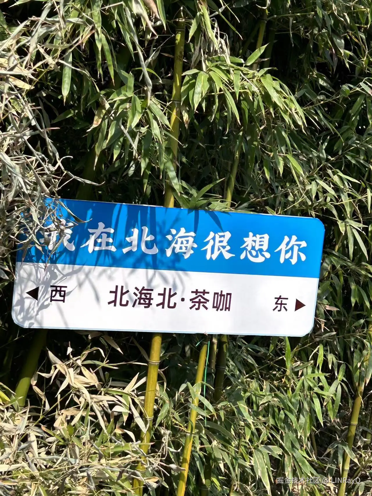 微信图片_20250211143834.jpg