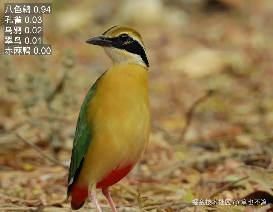 image-20250903022122968