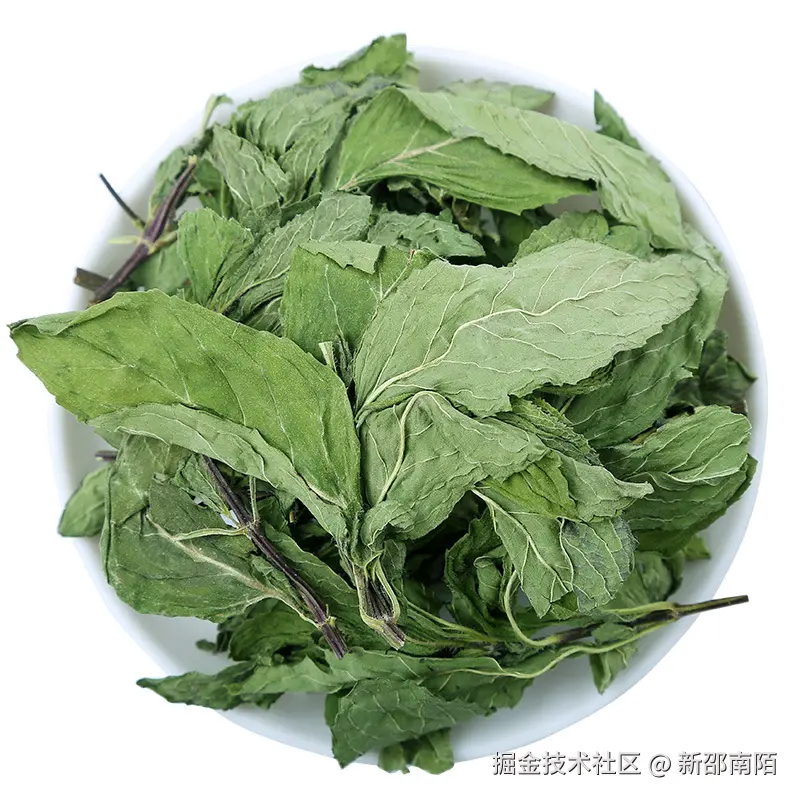3 薄荷 .jpeg