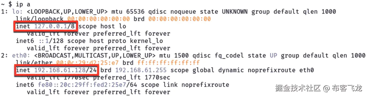 图 6.1 – 获取 IP 地址信息的示例命令