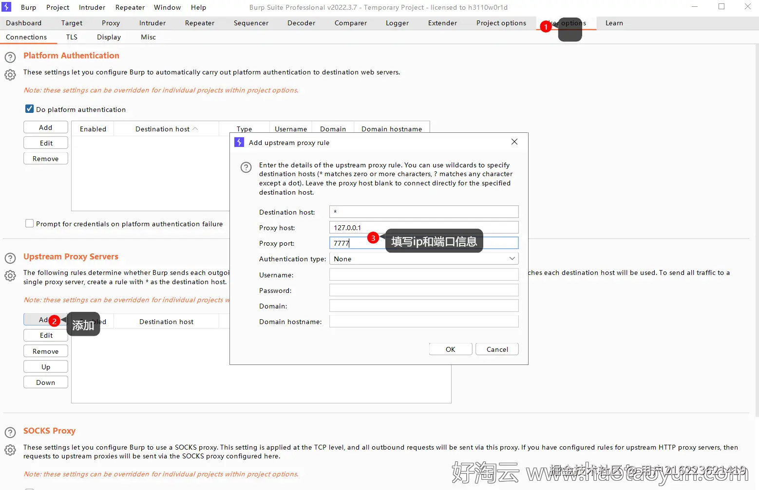 肝了三天三夜！最详尽的漏洞扫描工具实战笔记