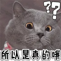 ！！？？所以是真的哦.gif