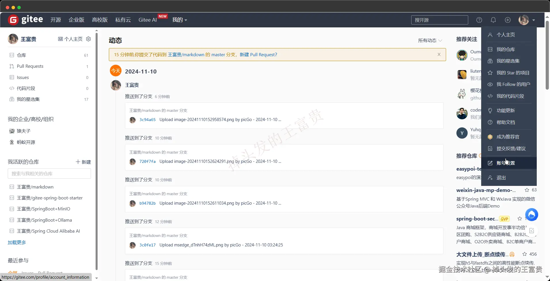 image-20241110153615406