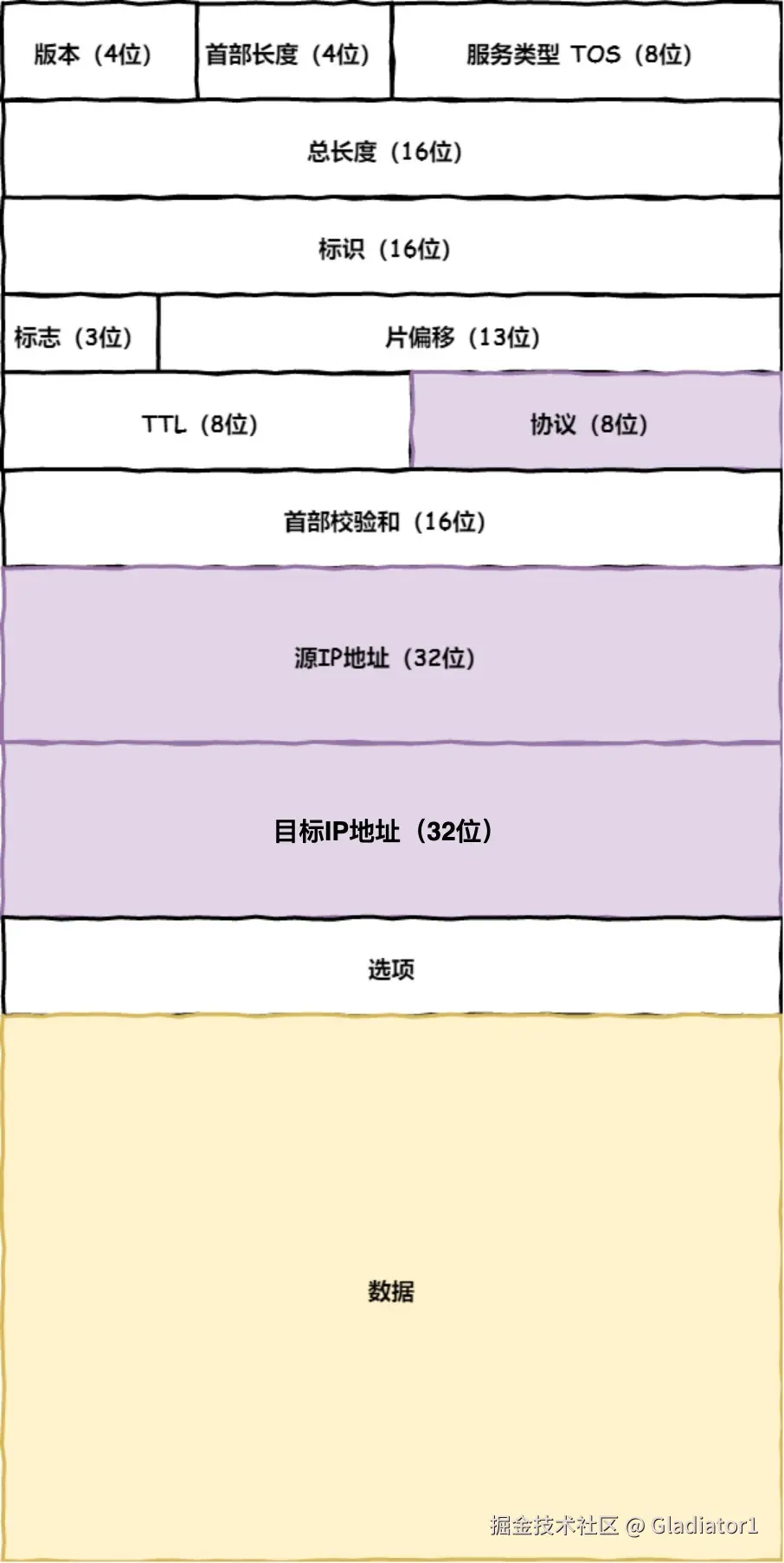IP 包头格式