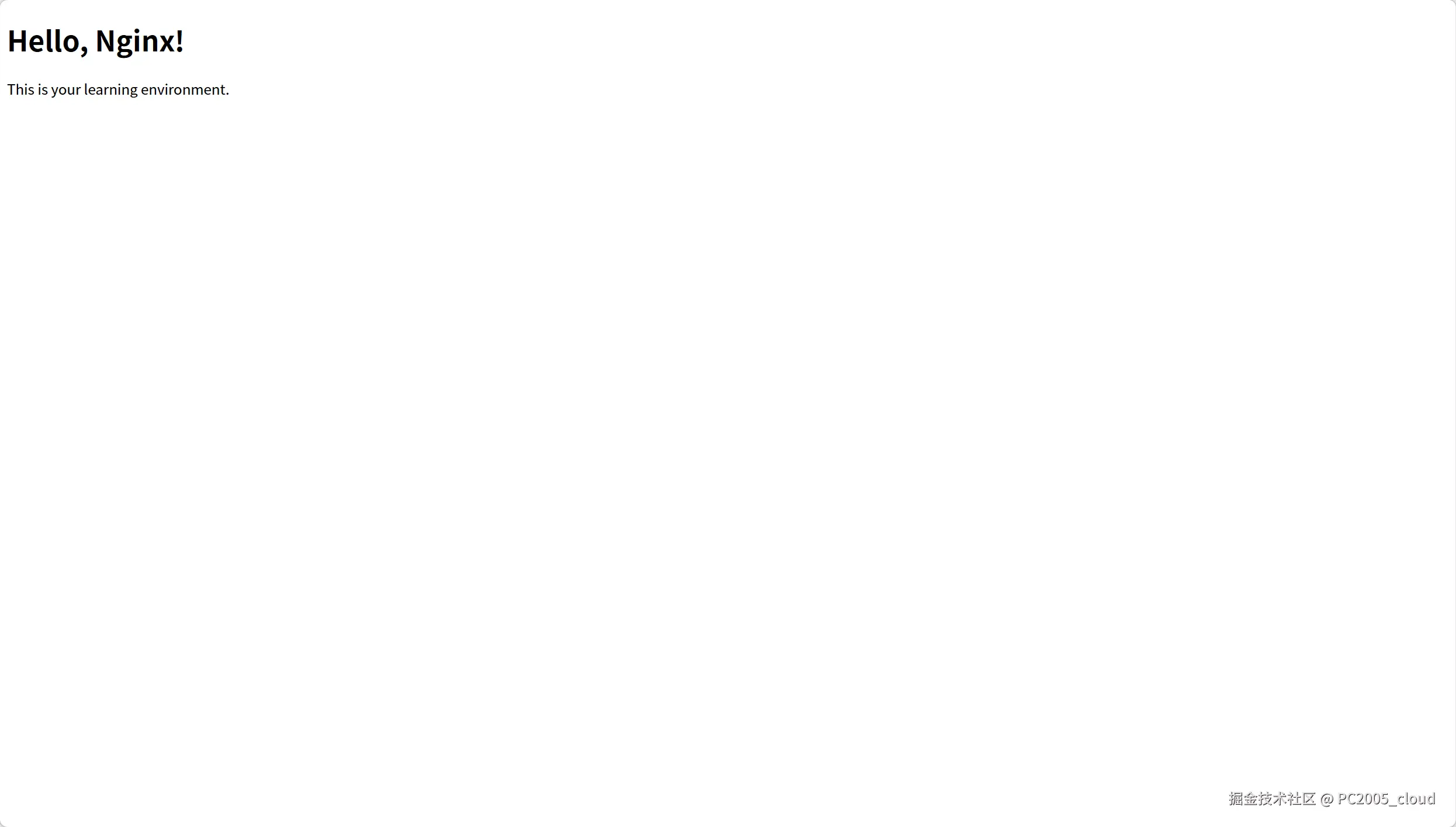 Nginx 运行效果图