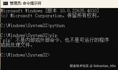 Pip指令.png
