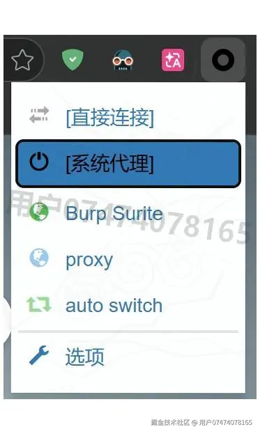Burp Suite 安装教程：从下载到burpsuite抓包配置全流程