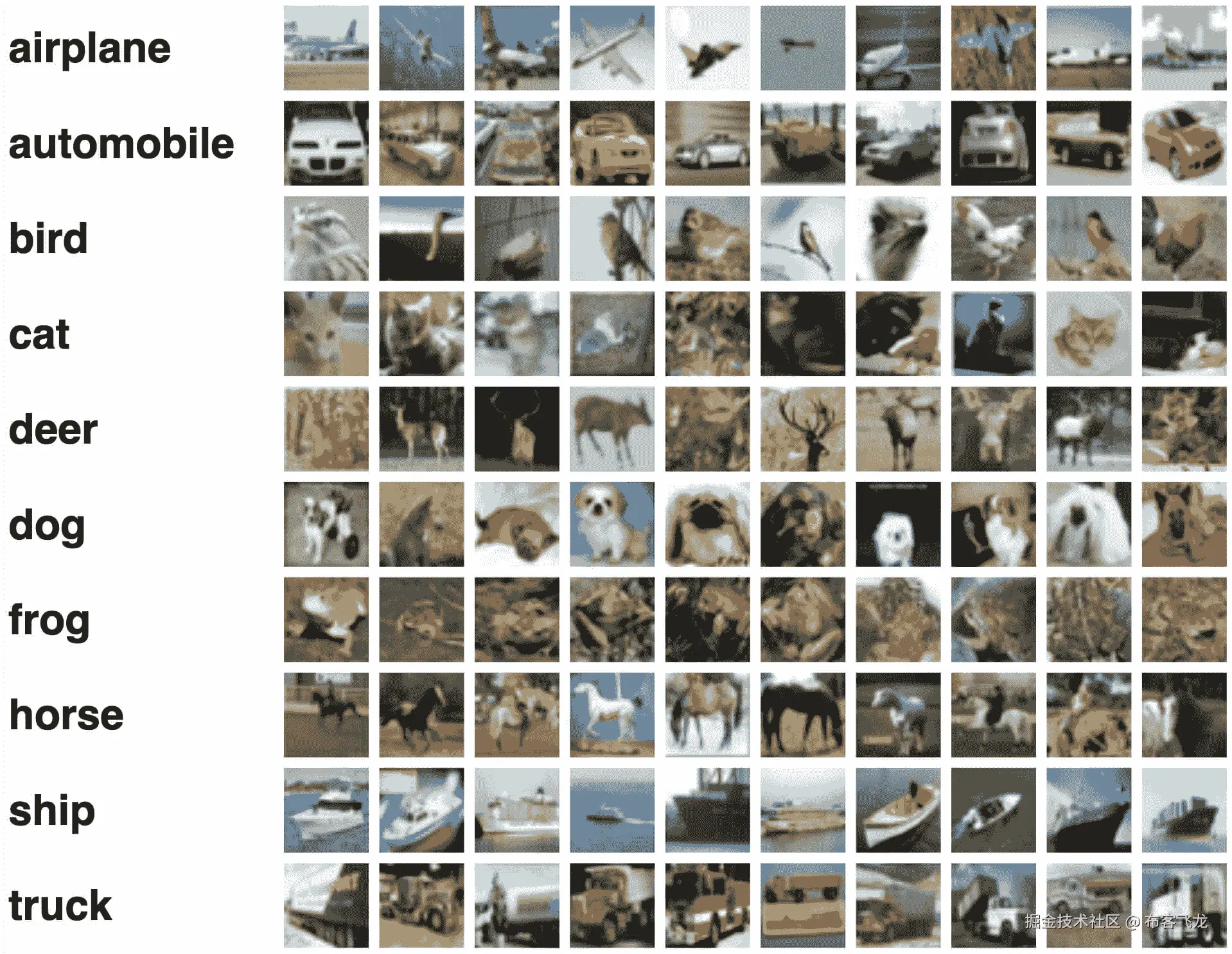 数据集示例图像