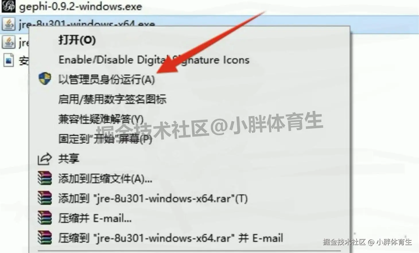 Gephi 0.9.2 保姆级安装教程：下载教程+安装教程+安装配置全攻