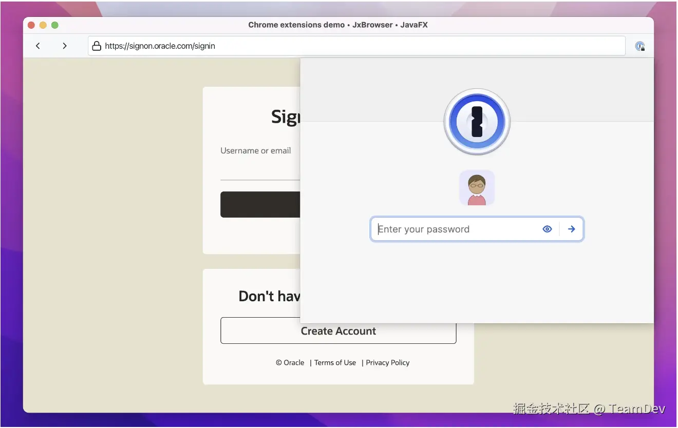 JxBrowser 演示应用中的扩展程序