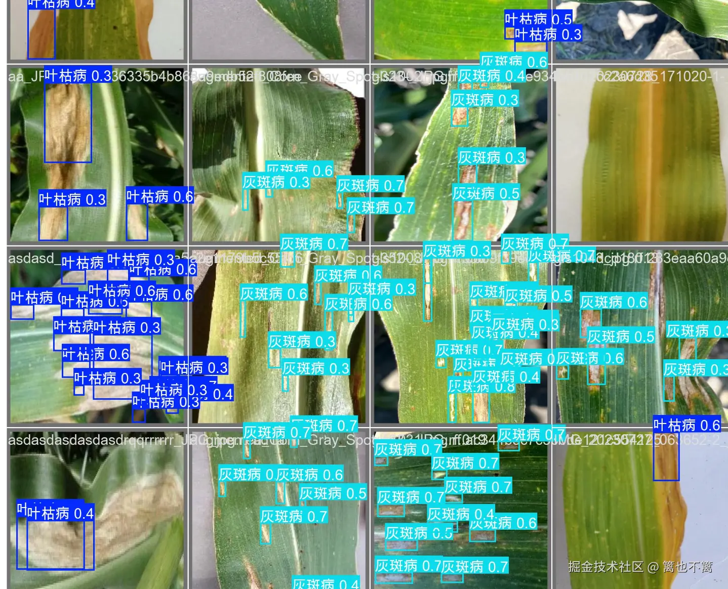 image-20250720005108426