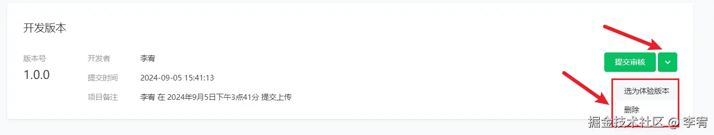 image-20240905155539288