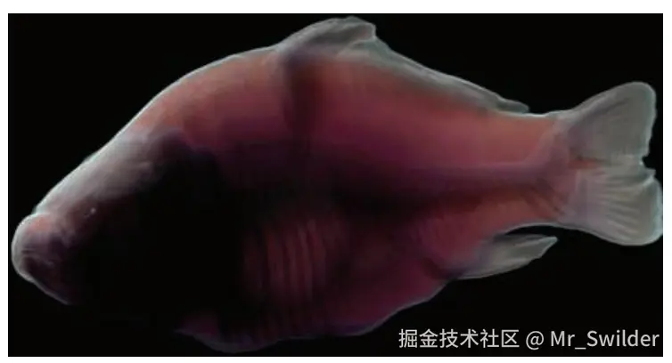 图14.17：基于半角切片的前向次表面散射体渲染。 [797]