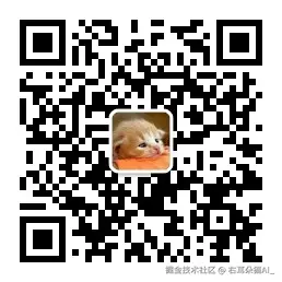 扫码关注「右耳朵猫AI」