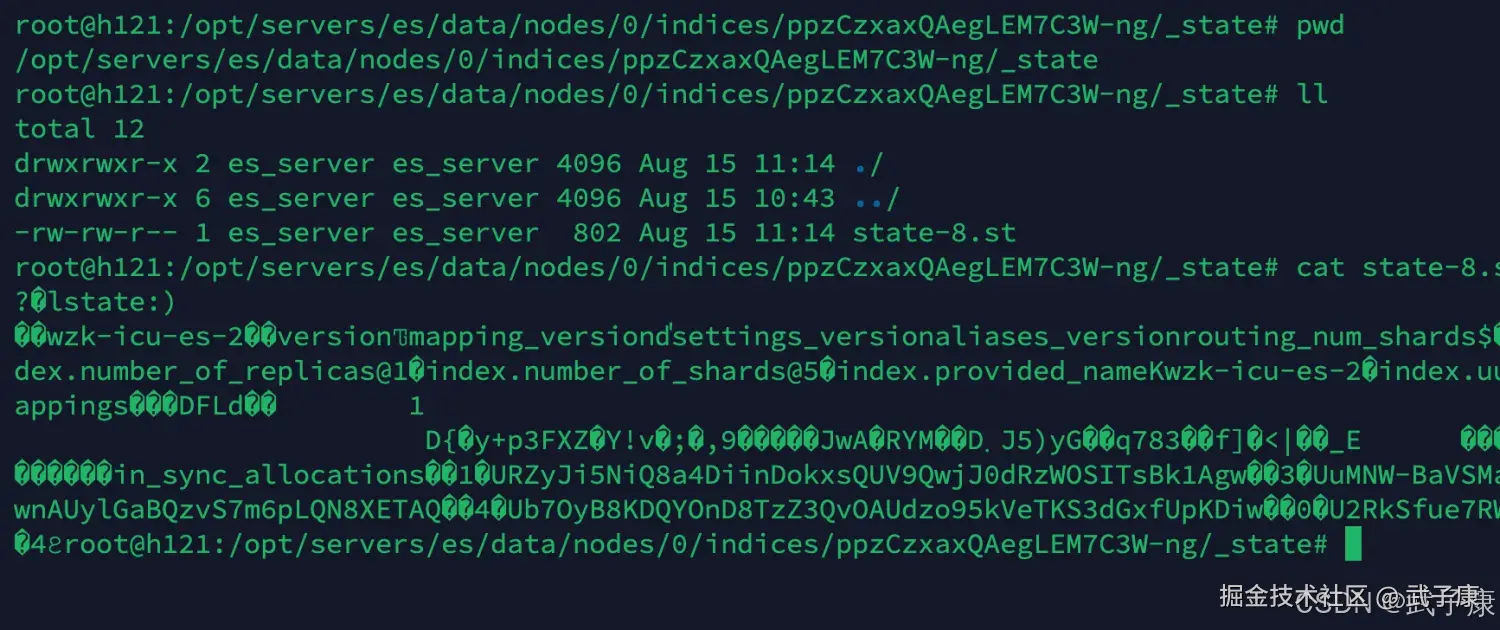 Elasticsearch 查看数据内容