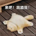 1735546240709.png