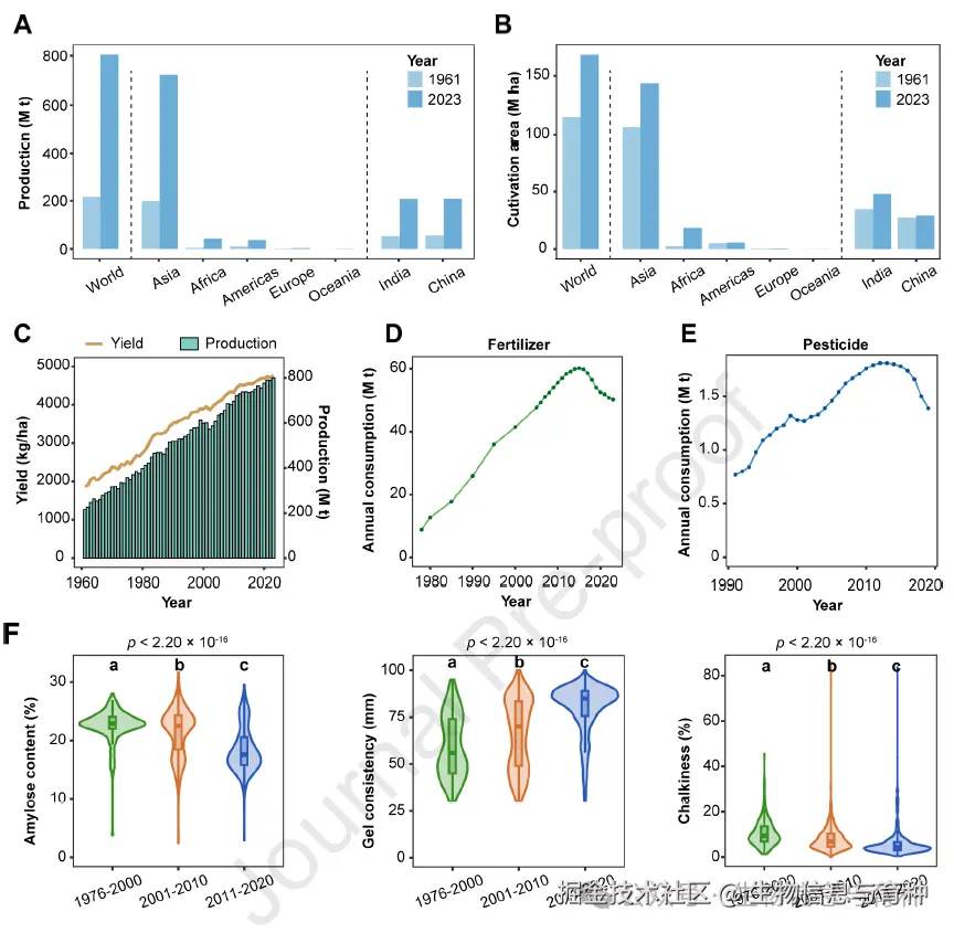 图1. 水稻种植与生产。（A-B）1961年和2023年世界、五个不同大洲以及印度和中国两个国家的水稻产量（A）和种植面积（B）。（C）世界水稻年产量和总产量。（D-E）中国化肥（D）和农药（E）的年消费量。（F）不同育种时期2,471份中国籼-籼杂交稻的籽粒品质变化。