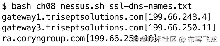 图 8.14 – Nessus 脚本的输出