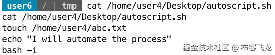 图 11.41 – 检查 autoscript.sh 的内容以了解其目的