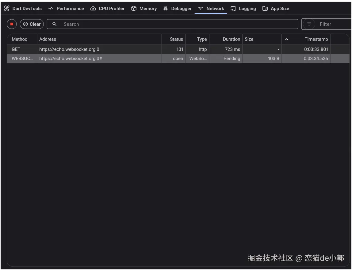 Flutter DevTools Network 面板中的 WebSocket