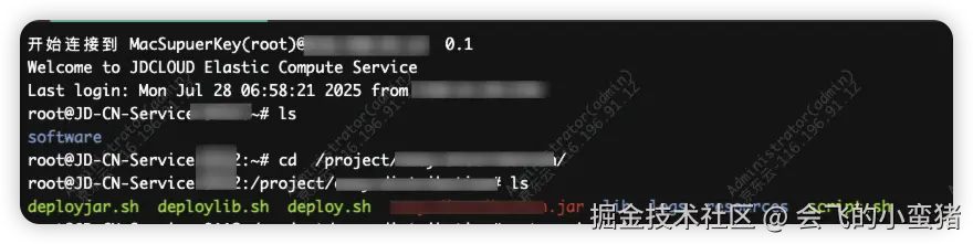 image-20250730151143131