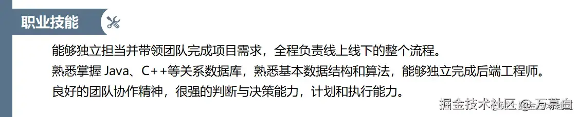 专业技能示例1