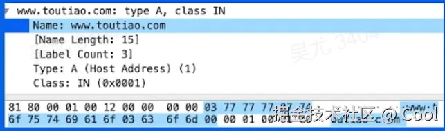image-20220521232203559.png