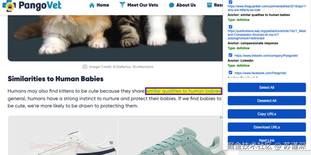 出站链接检查器