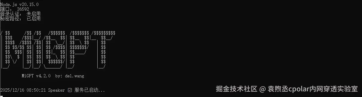 image-20251216165045369