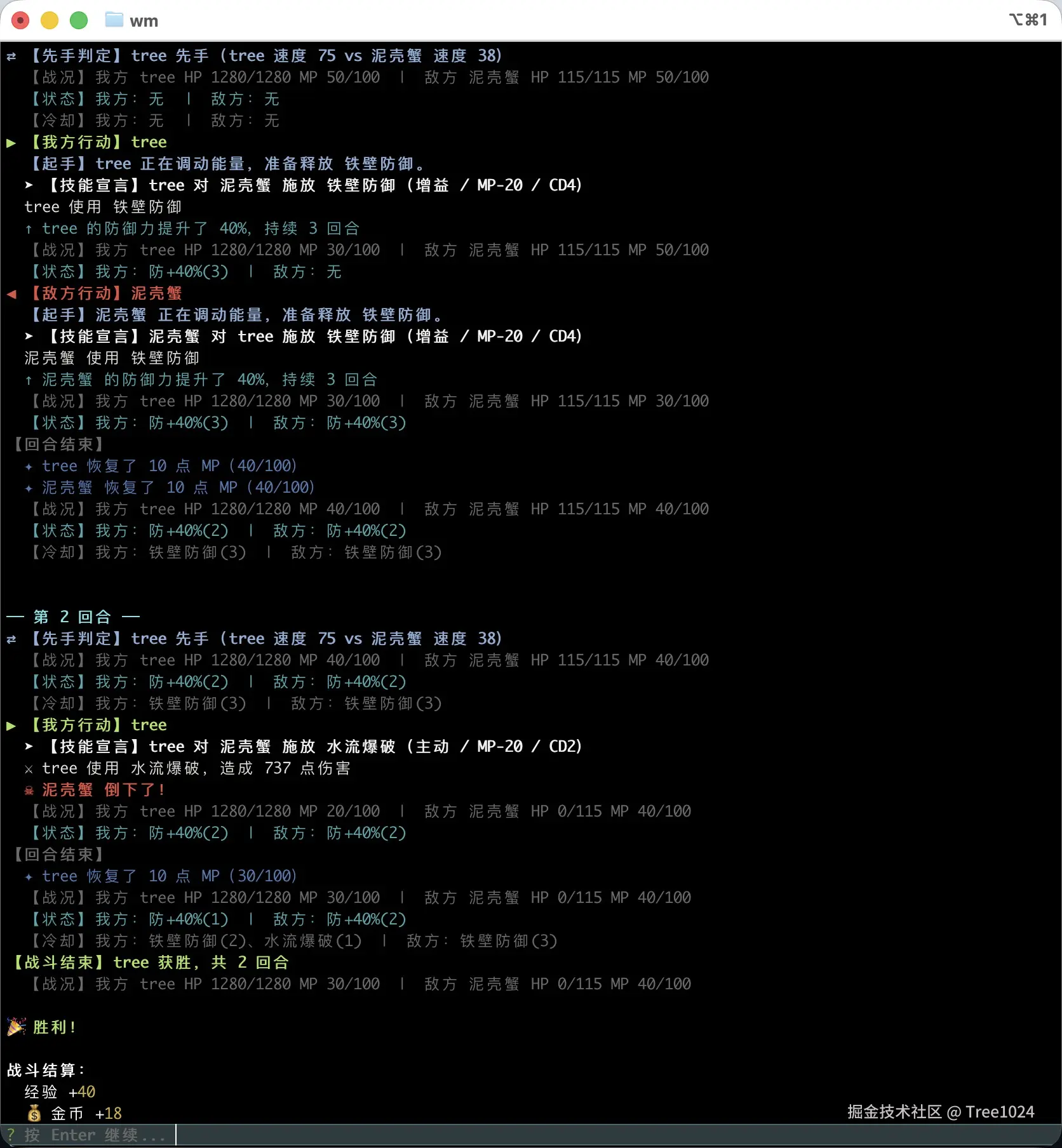 05-2-battle.jpg
