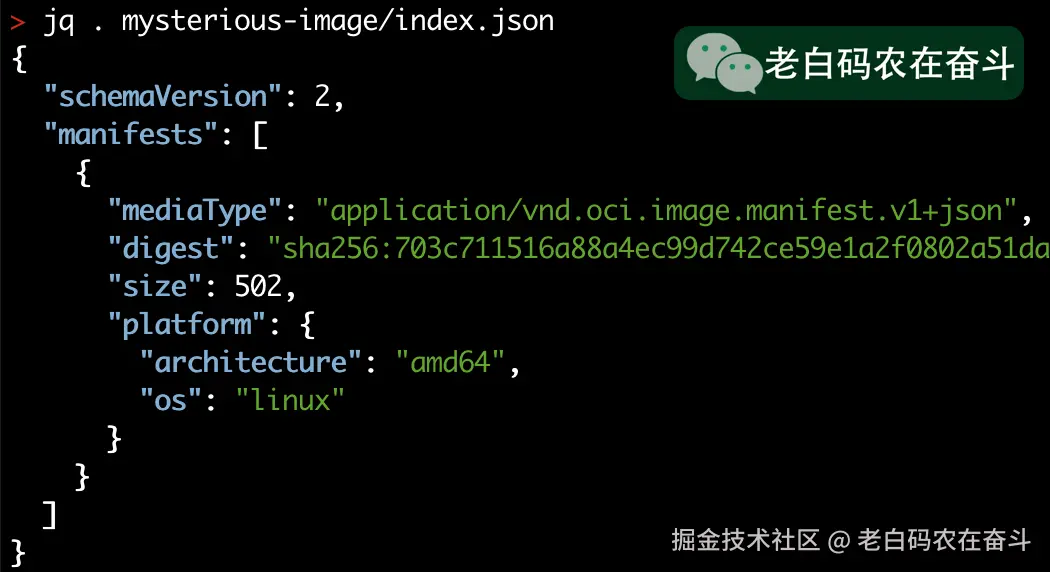 docker-index-json-content