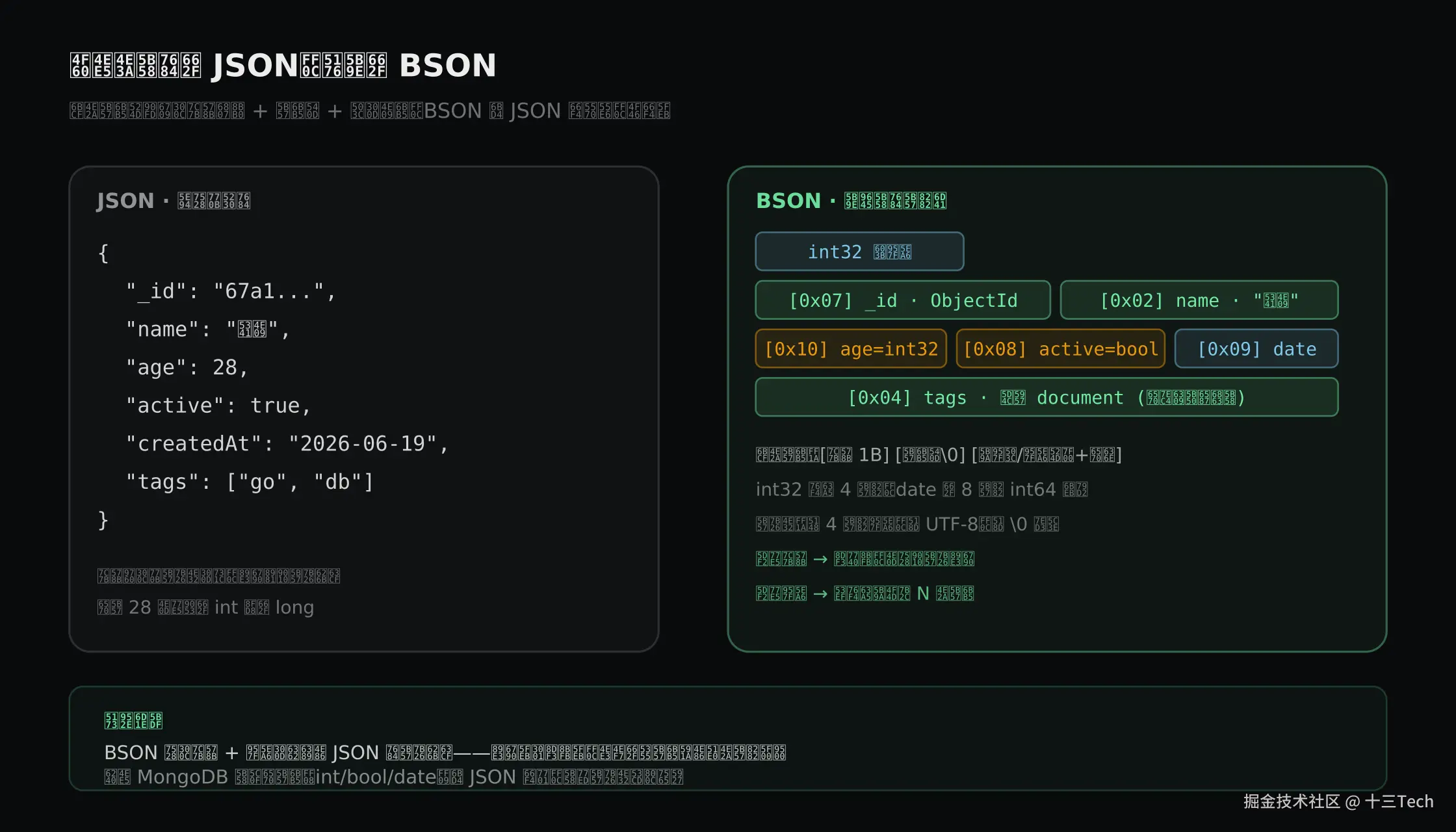 同一个文档：JSON 视图与 BSON 字节布局