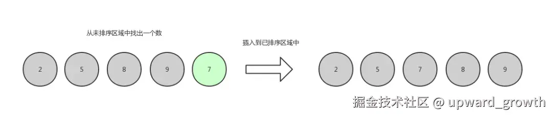 555.webp