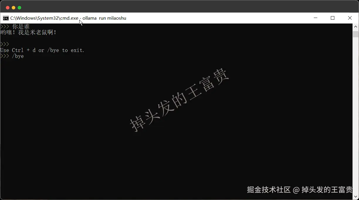 image-20241023112907324