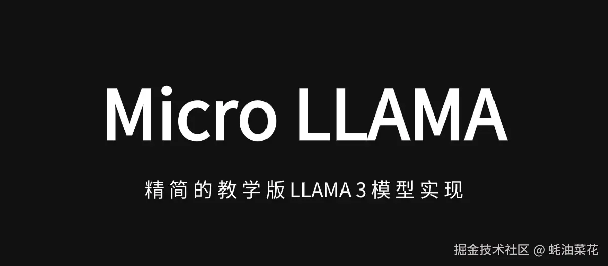 公众号: 蚝油菜花 - micro_llama