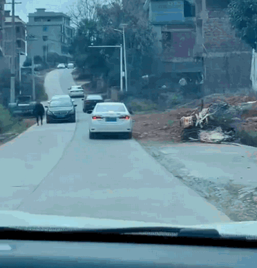 IMG_2110.GIF