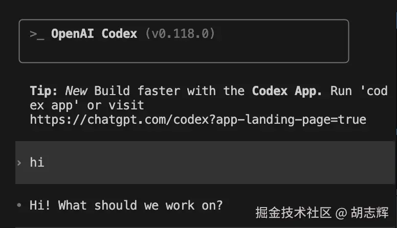 Codex 里真正的用户输入只有一句 hi