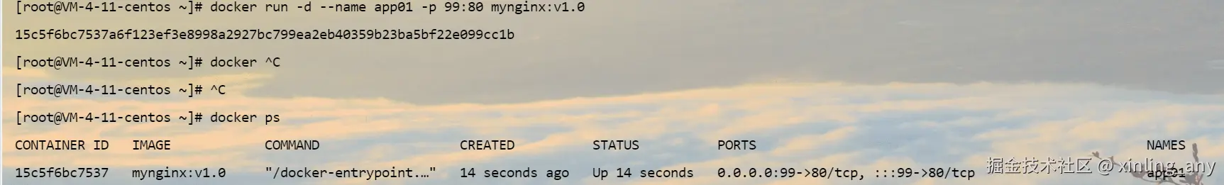 image-20240824111728899