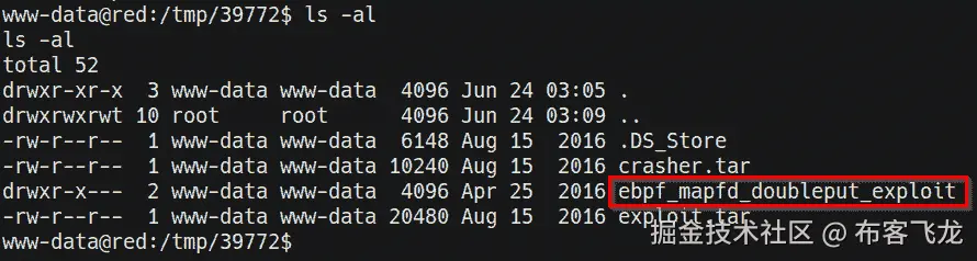 图 10.21 – 漏洞利用目录    