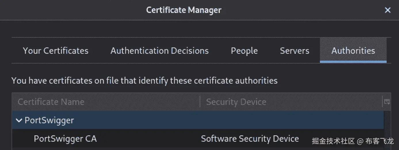 图 9.17 – PortSwigger 证书