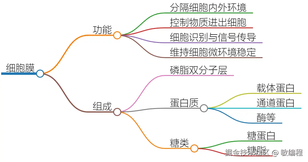 markmap-2.png