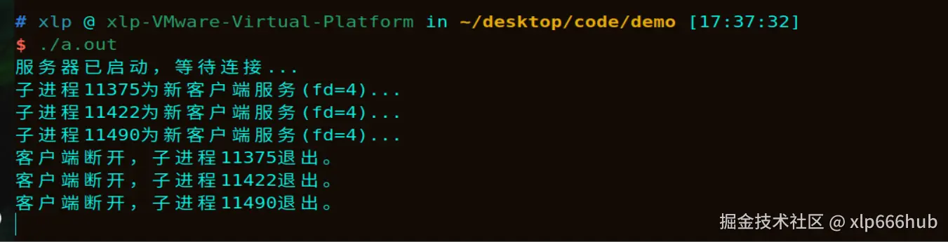 9. 僵尸进程（2）.png