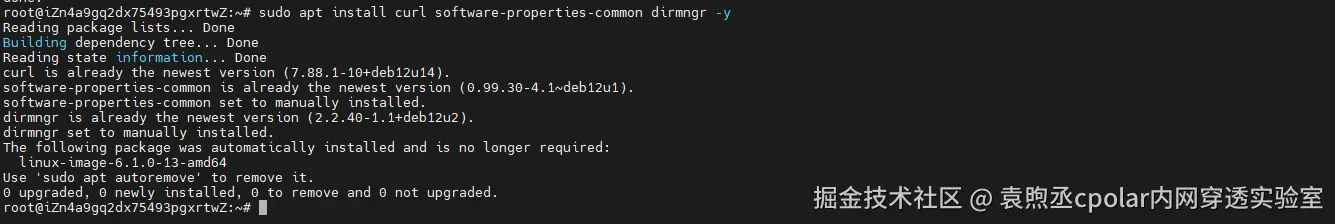 image-20260130104636334