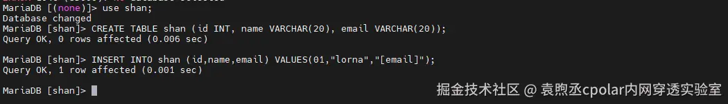 image-20260130110840322