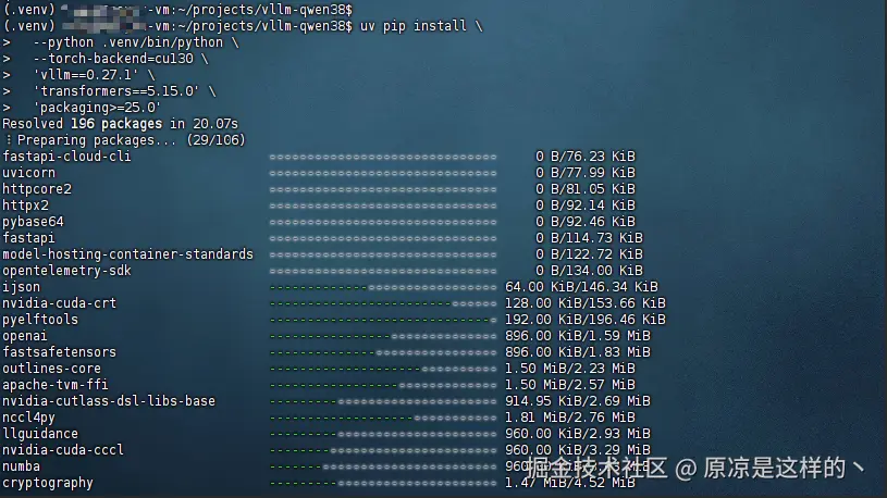 â¥å®è£ä¸è½½vllmç¯å¢.png
