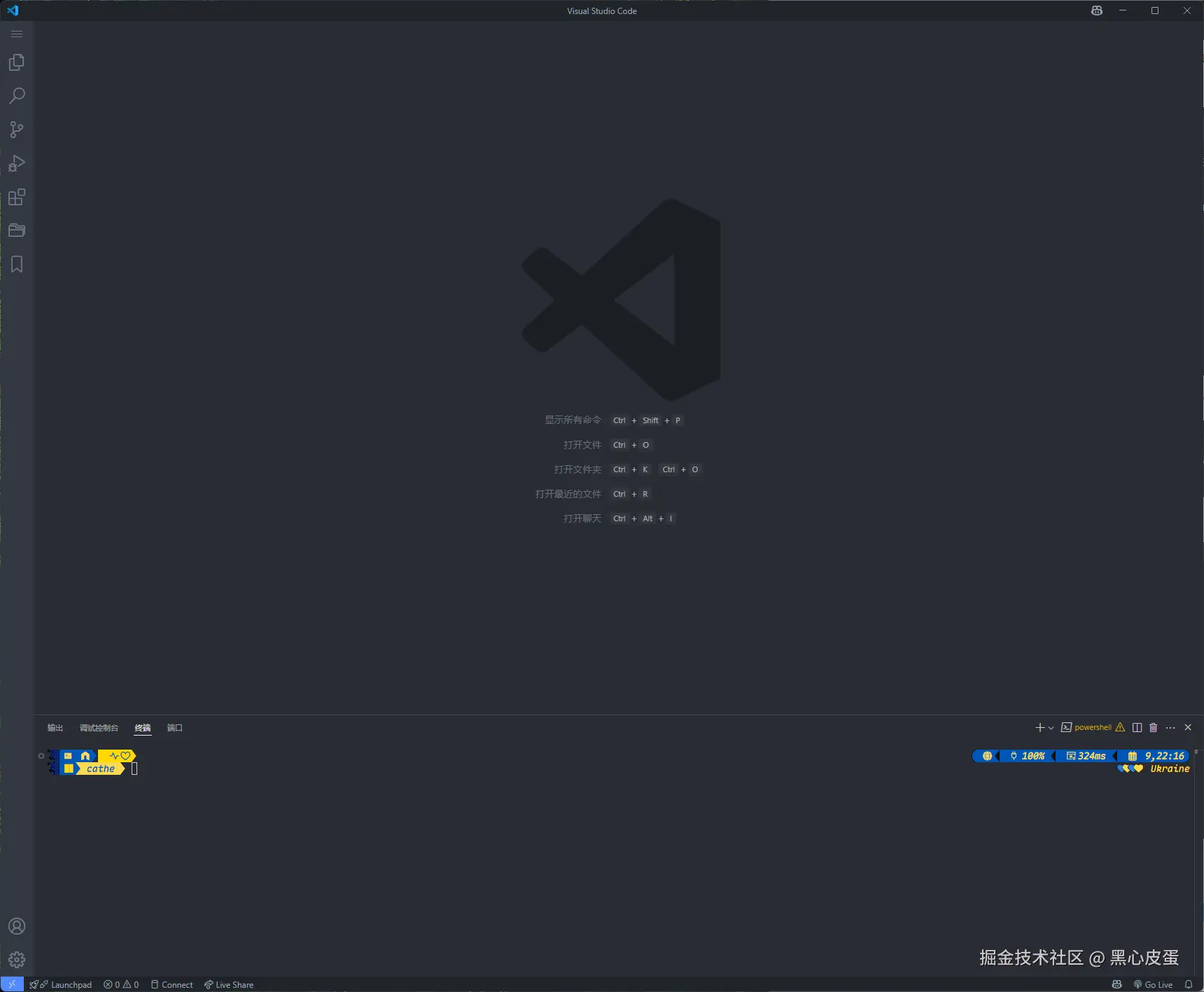 image-20250409221838564