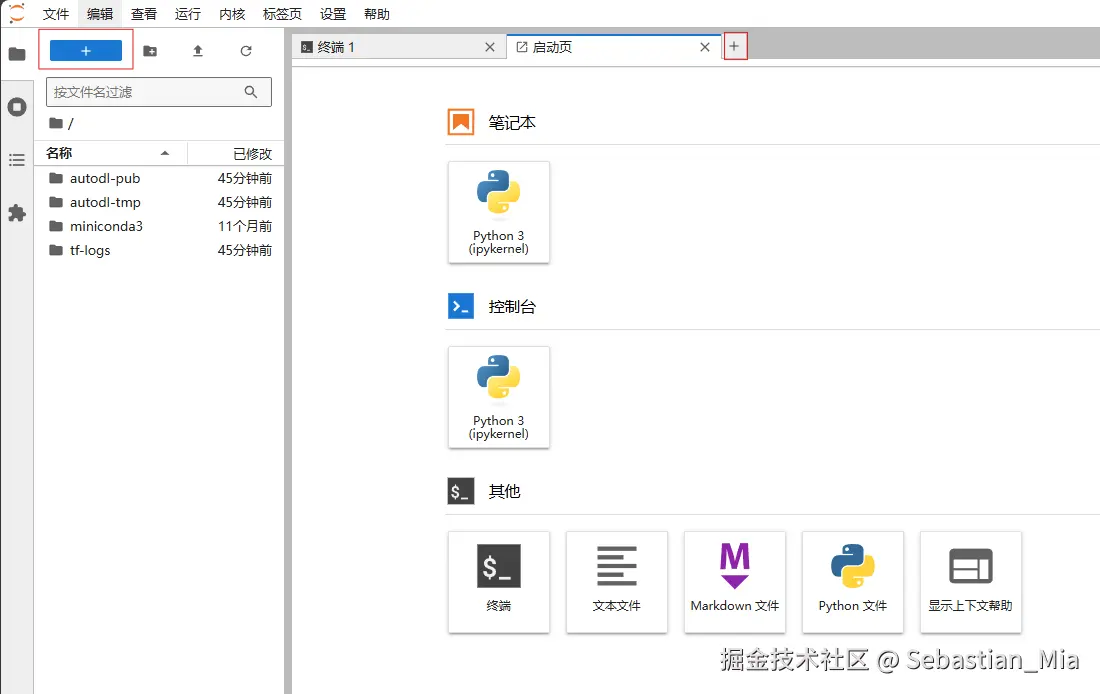 Jupyter Lab启动页.png